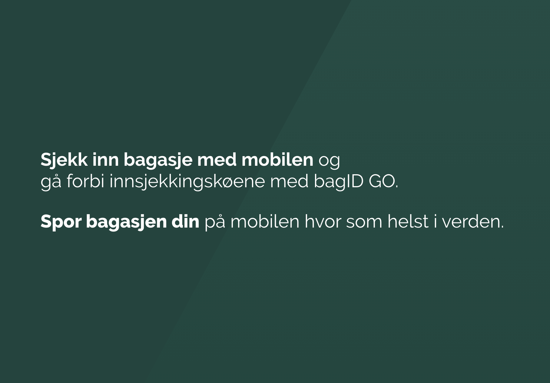 Screenshot of the text snippet in the new header I created for BagID.